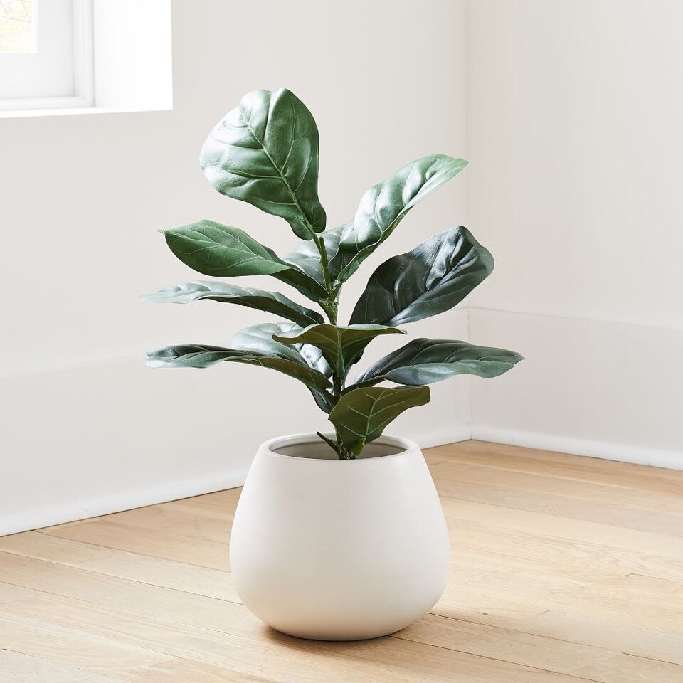 Faux Potted Fiddle Leaf Fig 2' West Elm UK